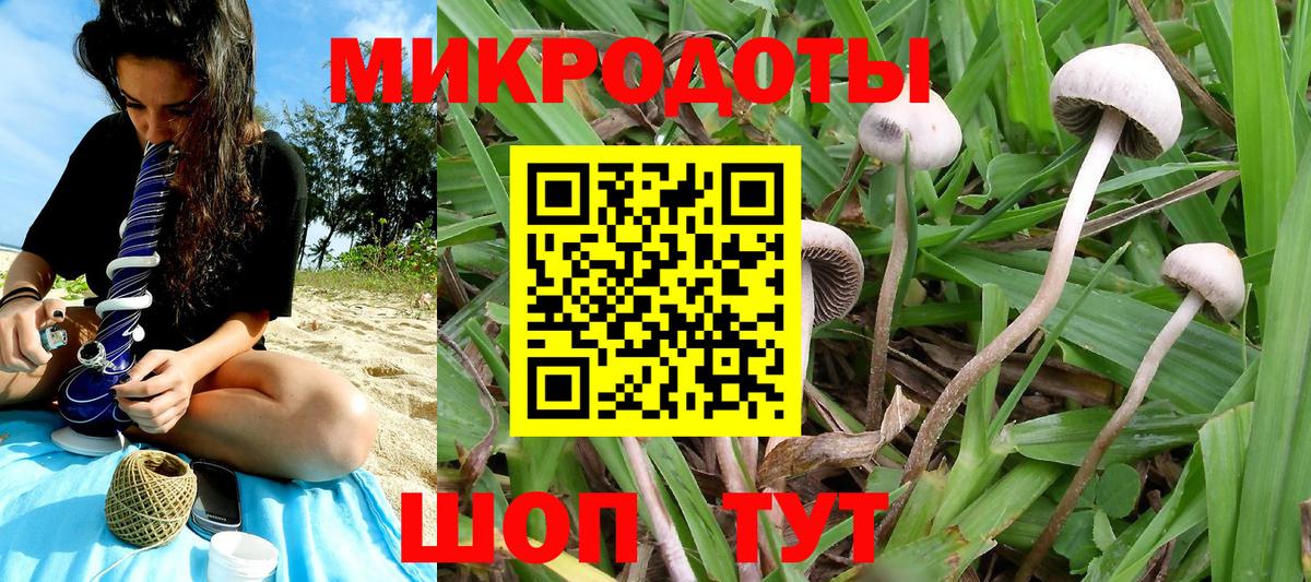 как найти закладки  Вход с VPN  Клин  Галлюциногенные грибы GOLDEN TEACHER 
