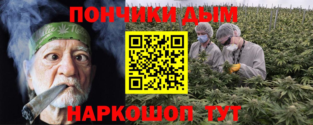 Канабис семена Клин
